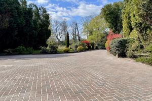 Photo 80- click for photo gallery